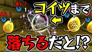 【美味すぎ】新ダンジョンの希石の神殿がヤバすぎる件について【パズドラ】