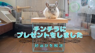 【チンチラ】砂浴び用ガラスケースを購入＆レビュー /【Chinchila】Sand Bath Case Reviews