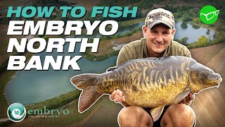 How to fish Embryo North Bank | CARP FISHING