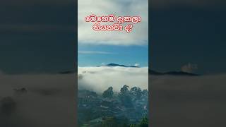 මී දුමත් එක්ක සීතල නුවරඑළිය| Nuwaraeliya#srilanka#travel#visitsrilanka#shortvideo#short#short#viral