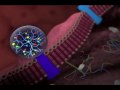 Video Journey Into Nanotechnology