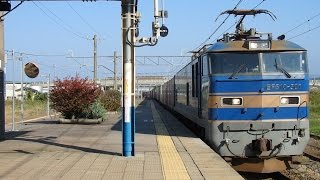 列車番号4060　EF510-501　羽越本線（岩船町駅）：：60P 「特急列車の通過待ち」#5