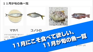 11月にこそ食べて欲しい、11月の旬の魚一覧！