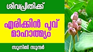 sunil sunder Raman uploaded Erikkin Poovin Pradhanyam എരിക്കിൻ പൂവിൻ്റെ പ്രാധാന്യം