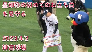 つば九郎、星知弥の初めてのお立ち台を見守る 2023/4/2