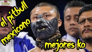 PITBULL CRUZ/HIGHLIGHTS/mejores momentos/el pitbull mexicano/mejores knockouts/highlights/suscribit!