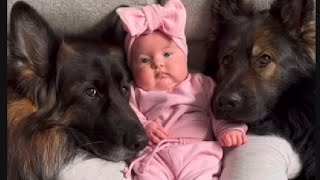 Adorable baby with babysitter dog 💕😘 | Baby and dog , who is cutest??