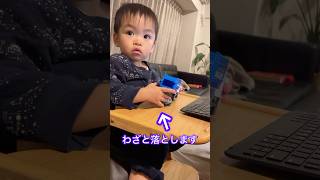 ２歳おもちゃをわざと落として反抗ポーズをとる! 2years old. #反抗期 #2歳 #2yearsold #shorts