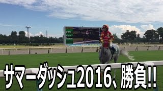 3連単勝負!!@アイビスサマーダッシュ2016【万馬券で高級けん玉を買いたいシリーズ②】