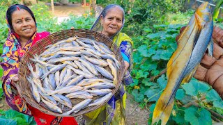 কালোজিরে দিয়ে তপসে মাছ রান্না তার সাথে ডালের বড়ি দিয়ে কচি লাউ রান্না |