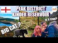 Does a ferocious BIG CAT exist in PEAK DISTRICT near KINDER RESERVOIR?