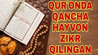 QURʼONDA ZIKR QILINGAN HAYVONLAR