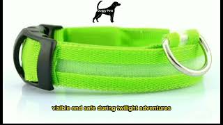 The secret to keeping your dog safe: LED dog collar  #doggypets