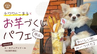 【犬とおでかけ】お芋好き必見♪芋づくしパフェ!(名古屋市西区)