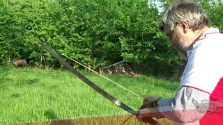 Estrazione Facile delle frecce dalle sagome 3D - con longbow -