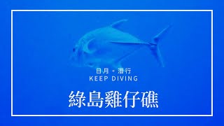 綠島。雞仔礁Chicken Reef🌟阿牛出沒🌟#牛港鲹【日月。潛行】