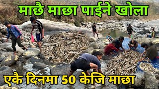 दुवालि थुनेर एकै दिनमा ५० केजि माछा नेपालकै धेरै माछा पाईने खोला || Fishing in Nepal Amazing fishing