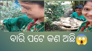 Soni.Adyasha parivar ❤️।                     ।         ସୋନି କଣ ଦେଖିଲା 😱