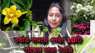 নতুন বাগানীদের জন্য সহজ 10টি কাটিং🌳💕বর্ষায় সহজেই এই গাছের ডাল থেকে চারা তৈরি করো 🌸💜