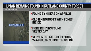 Human remains found in Rutland County forest
