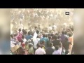 watch jallikattu held in alanganallur despite supreme court s ban