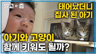 아기와 고양이는 함께 살아도 되는 걸까? 태어났더니 3마리의 집사가 된 아기와 아기가 궁금한 고양이│고양이를 부탁해│알고e즘