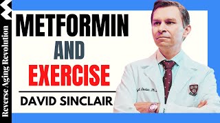 DAVID SINCLAIR “Metformin & Exercise” | Dr David Sinclair Interview Clips