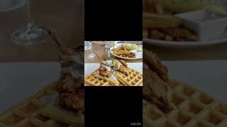 Visit San Antonio Texas for a Memorable Experience with Friends and Family