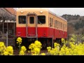 小湊鉄道　養老渓谷駅の春 2013