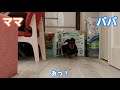 愛犬はパパとママどっちに来る？3回勝負してみた！【ダックスフンド】