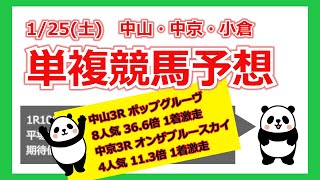 【1日中遊べる単複予想】1/25(土)  3会場全17レース 中央競馬平場予想