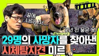 🚨Real situation🚨 Finding trace buried 2 years ago! Mir, the best dog! | PPP - Profiler Pyo Chang Won