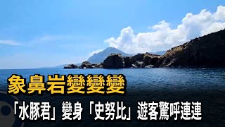 象鼻岩變變變！「水豚君」變身「史奴比」遊客驚呼連連－民視新聞