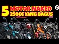 5 MOTOR NAKED 250CC YANG BERBALOI 2024