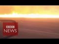 This is what it's like to drive through a bushfire - BBC News