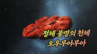 오우무아무아의 최신 연구 결과가 발표되었습니다. 과연 외계인의 우주선이었을까요?