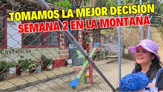 LA FUTURA ESCUELITA DE BRUNITO ( A los 6 años ) . Ya tenemos NUEVO GALLINERO. Alimentamos al bebé .