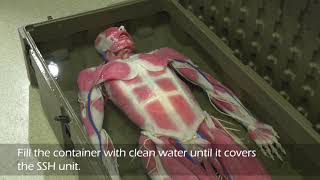 SynDaver Synthetic Human Care & Storage