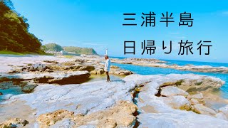 【日帰り旅行】三浦半島へ　/ みさきまぐろきっぷ