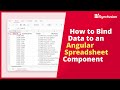 How to Bind Data to an Angular Spreadsheet Component