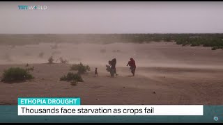 Ethiopia faces one of its worst droughts in 50 years, Fidelis Mbah reports