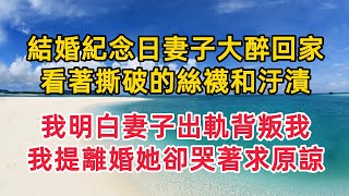 結婚紀念日妻子大醉回家，看著撕破的絲襪和汙漬，我明白妻子出軌背叛我，我提離婚她卻哭著求原諒#婚外情 #情感故事 #婚姻生活