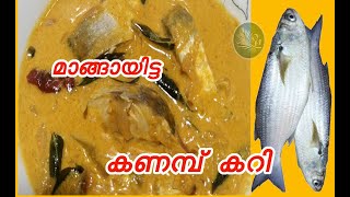 kanamb curry, മാങ്ങായിട്ട കണമ്പ് കറി, Manga etta kanambu curry,