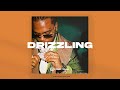 Drizzling - Instrumental (Trap x Gunna Type Beat)