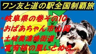 岐阜県の巻その10 びびりワンコと「道の駅」全国制覇達成を目指す旅チャンネル 現在510件達済　 　　①おばあちゃん市・山岡②土岐美濃焼街道③富有柿の里いとぬき、ミニチュアシュナウザー5才の女の子同伴