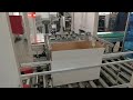 Ranga CMC  tea carton pack in Master box Automation