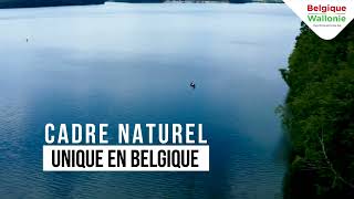 Golden Lakes - Lacs de l'Eau d'Heure : Destination MICE