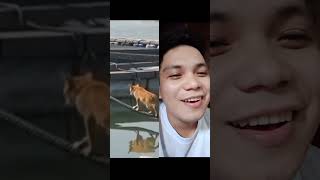 KAWAWA ANG PUSA 🤣🤣