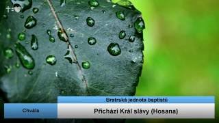 Přichází Král slávy (Hosana)