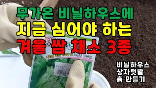 무가온 비닐하우스 상자텃밭 겨울 쌈 채소 씨 뿌리기 /채소가 잘 자라는 흙 만들기 /추위에 강한 쌈 채소